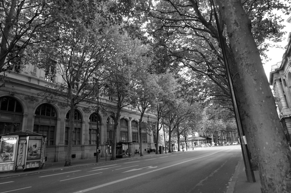Take a picture of any street in Paris and process it as black & white, and you create an instant timeless photo of a Parisian street