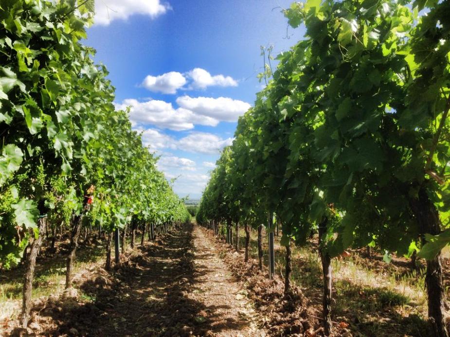 10302029_10204492478979782_4493581468941047246_n