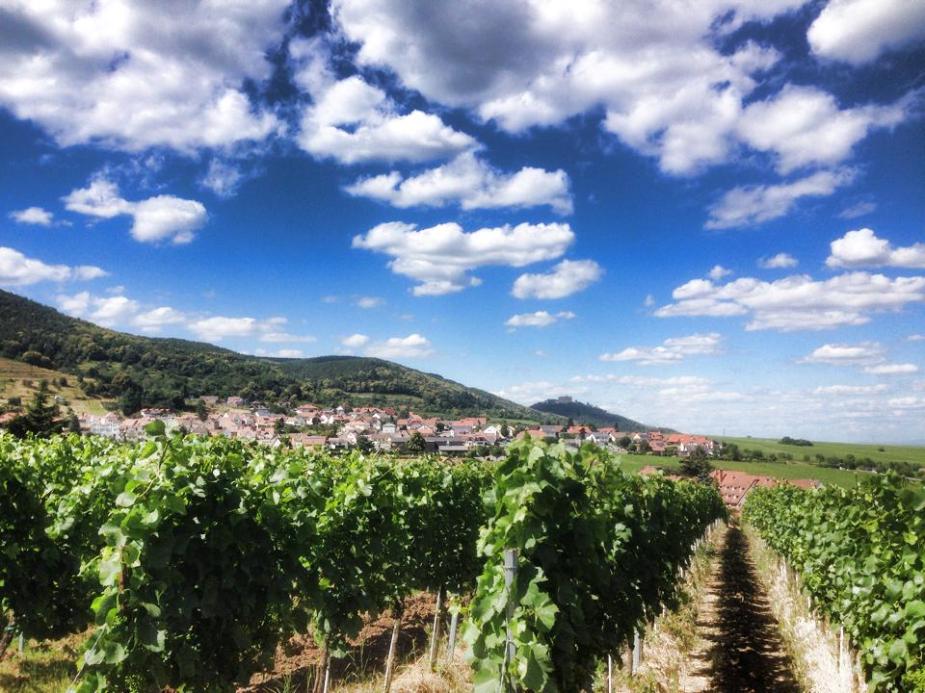 10304702_10204492480099810_4173664550452606337_n