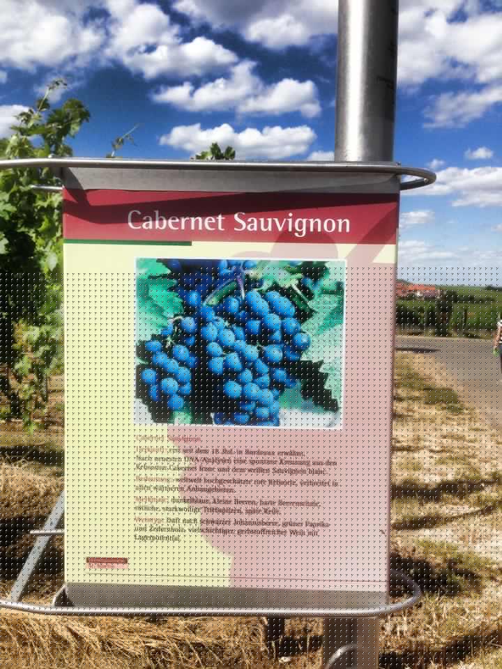 10419489_10204492478059759_7963474695487350575_n