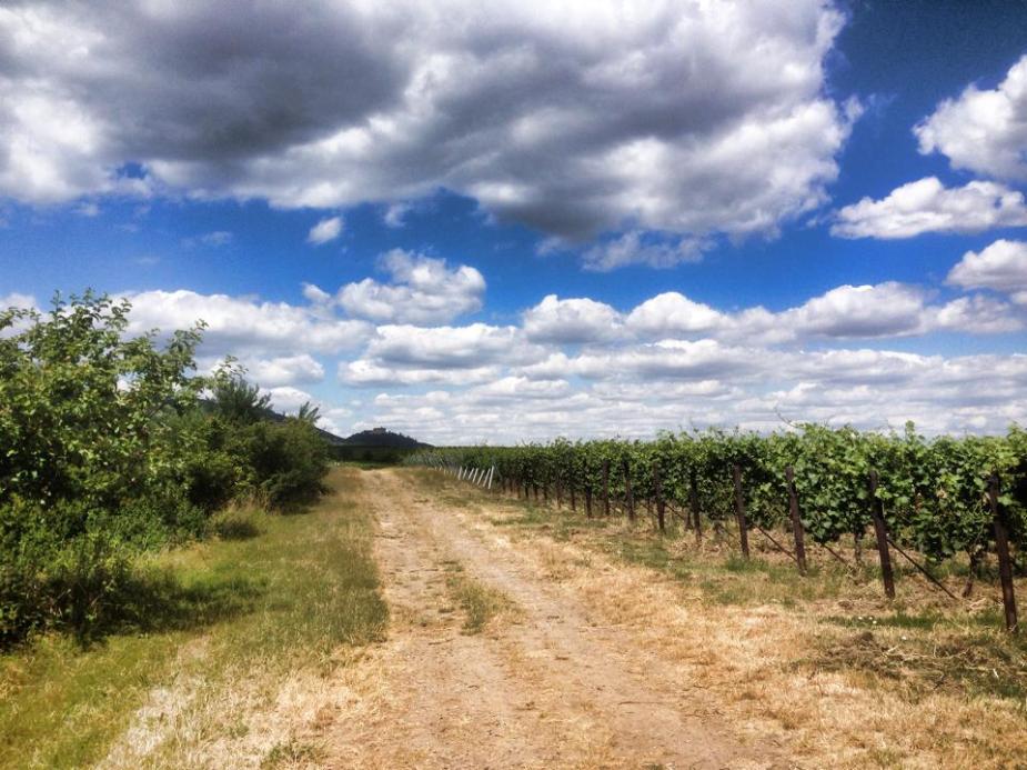 10488354_10204492481219838_2258241362758246826_n