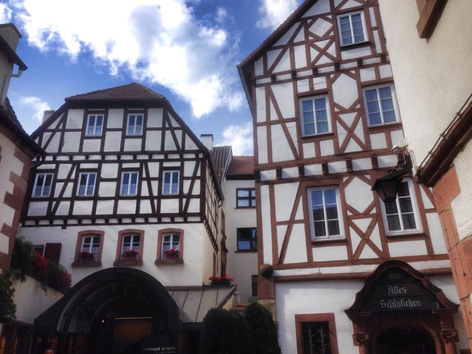 10509640_10204492475619698_8592140460550126353_n