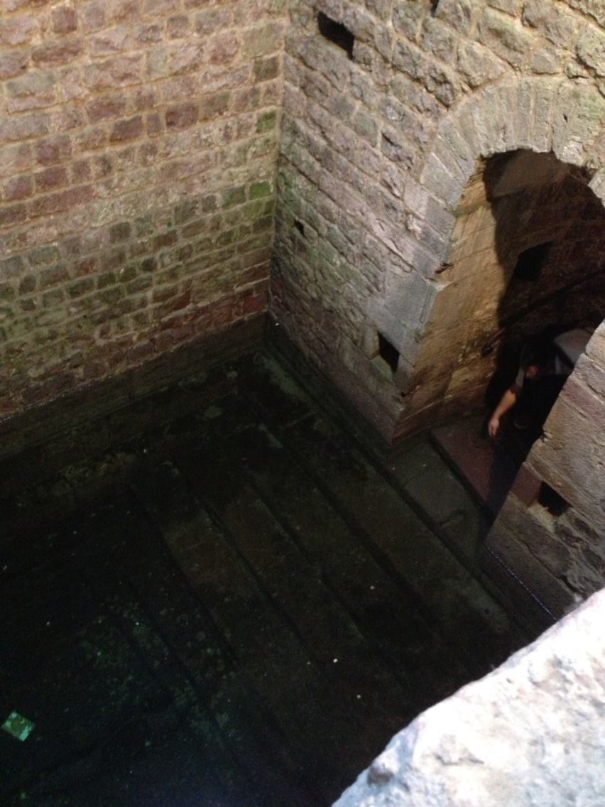 1277610_10202077992339125_956819759_o