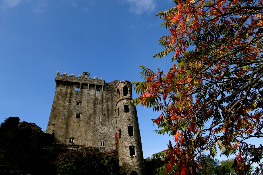 Autumn is just starting in Ireland during the first week of October.
