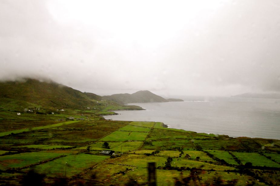 Even on a cloudy, rainy day, the green of Ireland is always on display. 