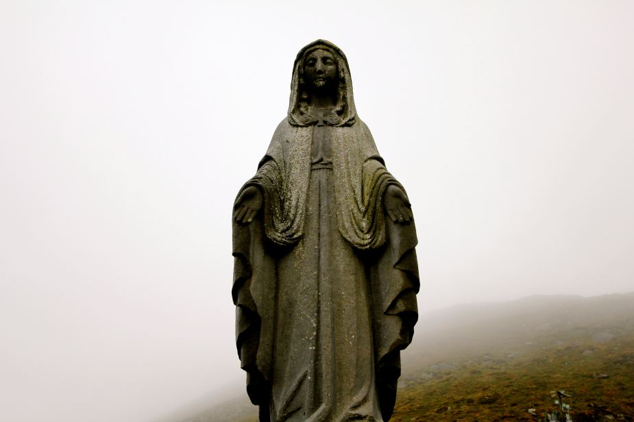 The fog in the background gives an eery feel with this picture.