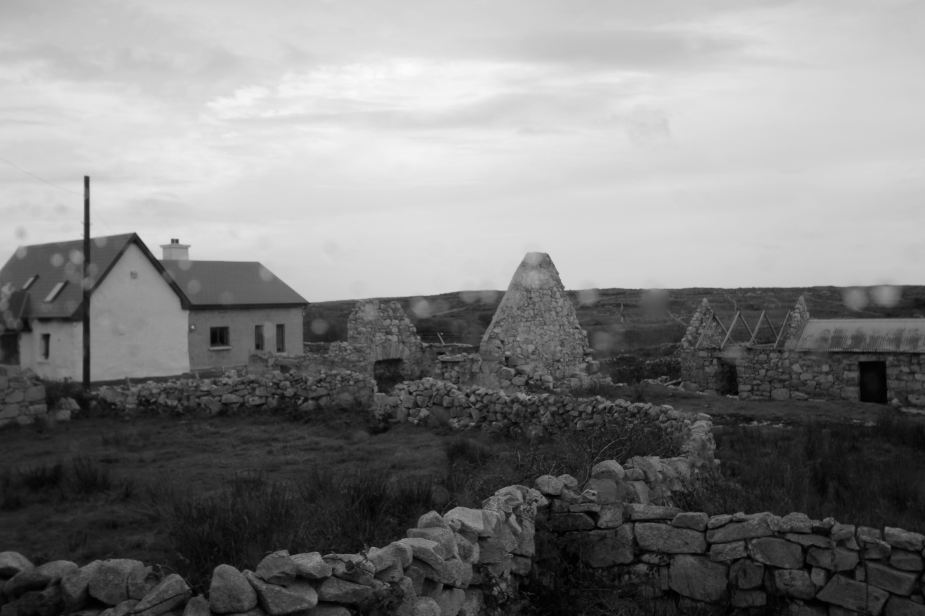 The Irish Potato Famine story....this is a "Famine Ghost Town". The famine occurred between 1845-1852. In 1840, the population of Ireland was 8 million. In 1860, it was 6.5 million (for the whole island of Ireland). Over a million died as a result and over a million left Ireland.  At this time, the land was owned by wealthy British nobles who had taken over the area centuries before. The people living on the land paid taxes in the form of either food of money made from selling food. The primary food grown was the potato because it produced a lot of potatoes from just one planting. From the potato, one can eat it, make bread, and a lot of other things that could not be obtained from other crops.  The famine was caused by a fungus that causes potatoes to rot in the ground, actually started in Mexico, spread to the eastern United States, and then made its way to Europe. Why was this such an impact to Ireland? The potato was the main source of food and income for the Irish at this time. So, as the crops began to fail year after year, the Irish could not eat nor could they pay taxes, and therefore they were forced to leave their lands and homes. They either fled to the Burren region of Ireland (and we saw how desolate that place is) or left Ireland all together.