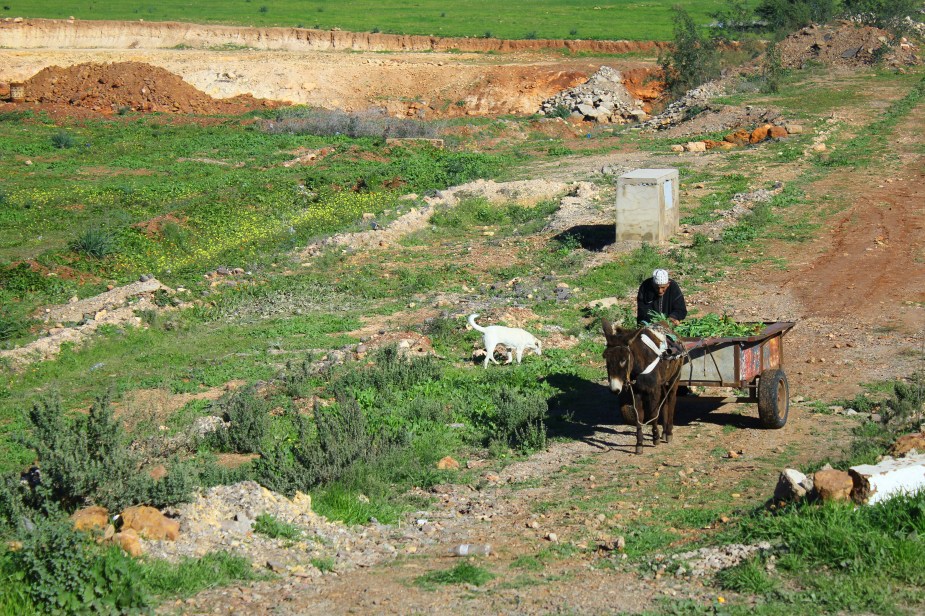 Away from Casablanca, the "modern" way of life is replaced with the way life has been for hundreds of years