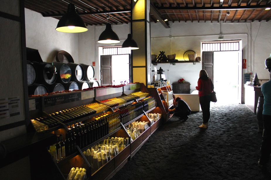 And, one of our stops was to have a wine tasting of the local wines created here. The wine was very sweet and strong, almost tasting like a cognac (brandy).  Here inside the Bodega la Geria Winery