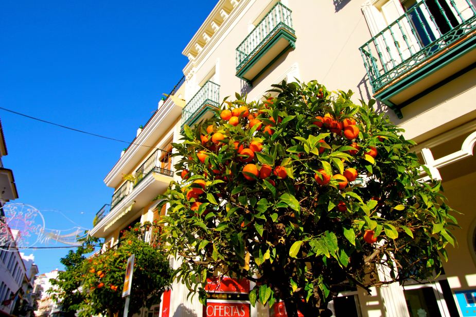 Like everywhere we have been on this trip as well as throughout the Mediterranean....orange trees...and with the blue sky, they really stand out! 