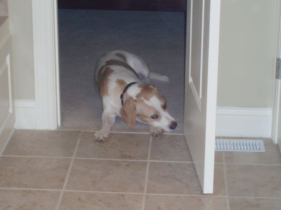 Homes in the US typically have central air conditioning and heating. Cooled of heated air is forced from the unit through vents throughout the house (typically in the floor or ceilings)...here is a floor vent in the bathroom floor of our old home.