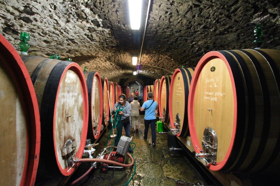 The castle's dungeon is now where the wine barrels are placed to age because of the darkness, dampness, and temperature. The cool thing about this tour, just as we arrived, a thunder storm started...as we were walking down into the dungeon, the cracks of thunder provided some serious ambiance!